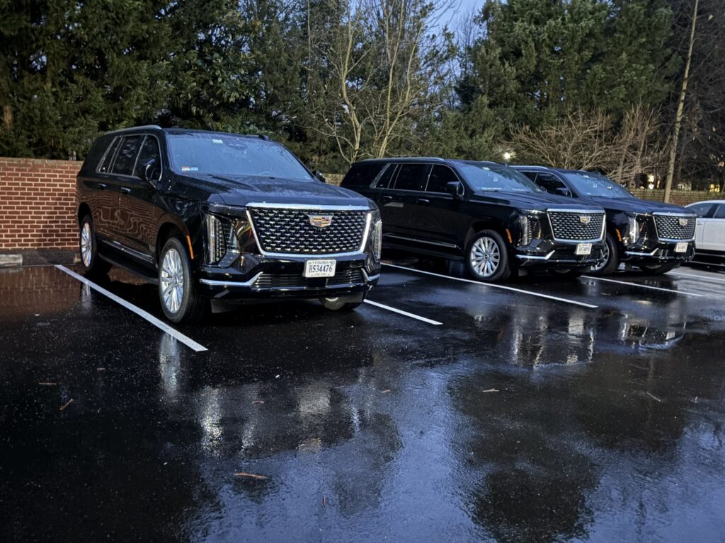 SUVs staged for a group movement